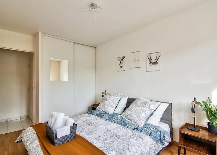 T2 Calme Et Lumineux A Proche Airbus Colomiers